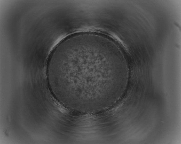 X0000093131216200709261341