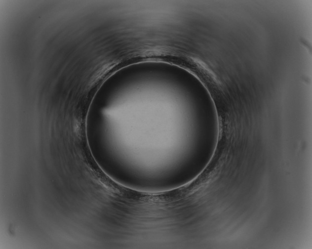 X0000093131217200709261341