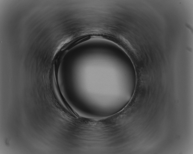 X0000093131218200709261341