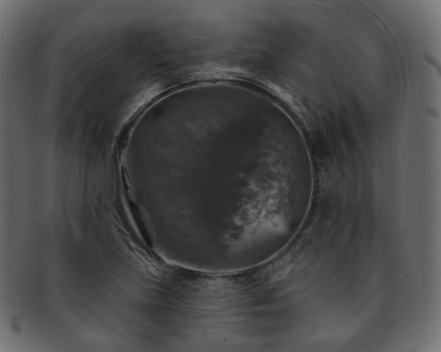 X0000093131219200709261341