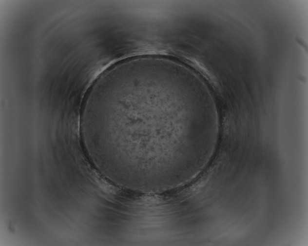 X0000093131220200709261341