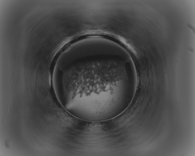 X0000093131221200709261341