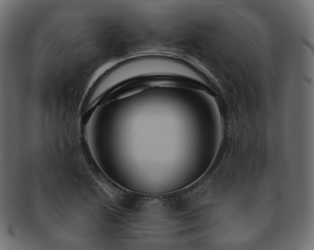X0000093131222200709261341