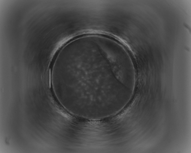 X0000093131223200709261341