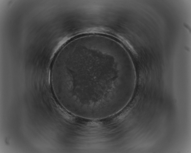 X0000093131224200709261341