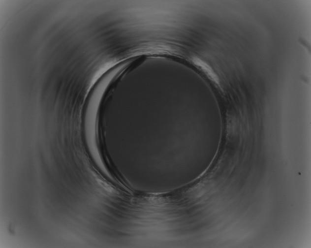 X0000093131226200709261341