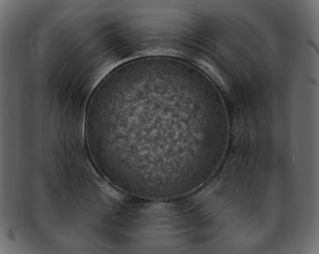 X0000093131228200709261341