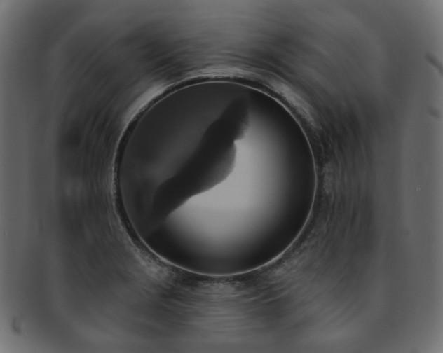 X0000093131229200709261341