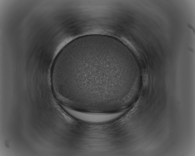 X0000093131230200709261341