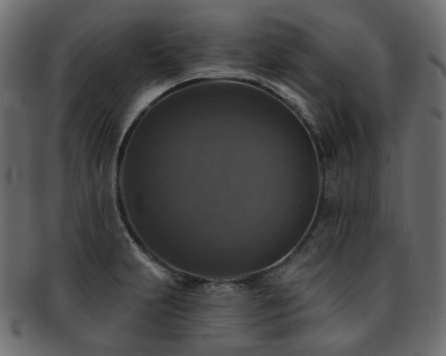 X0000093131231200709261341