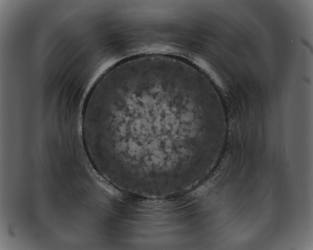 X0000093131232200709261341