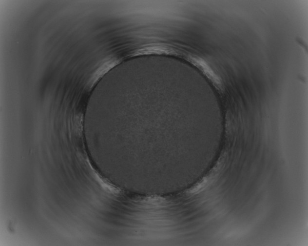 X0000093131233200709261341