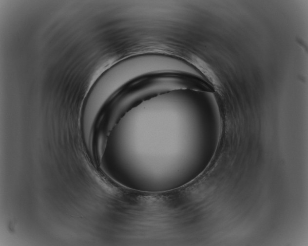X0000093131234200709261341