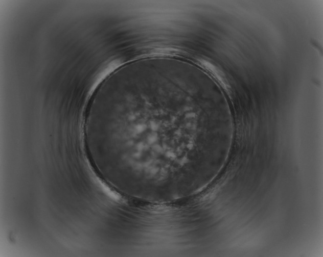 X0000093131235200709261341