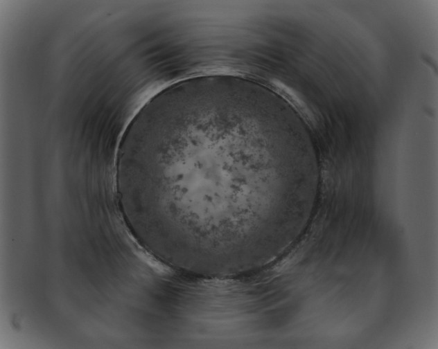 X0000093131236200709261341