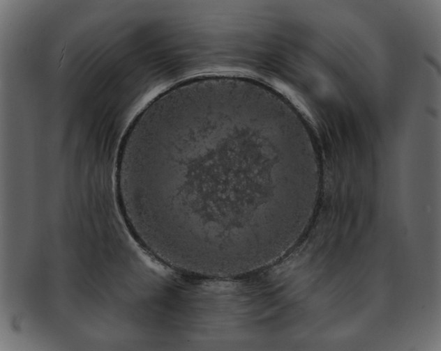 X0000093131237200709261341