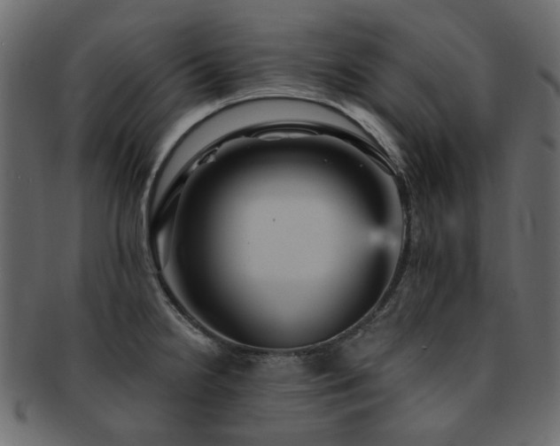 X0000093131238200709261341