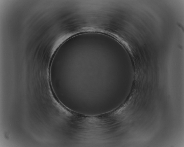 X0000093131239200709261341