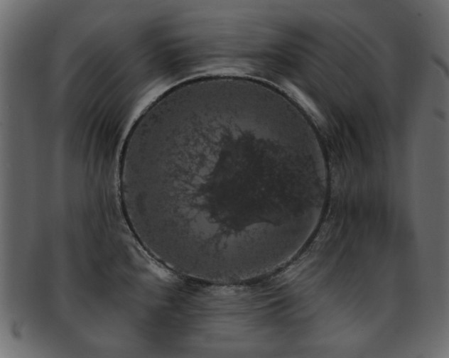 X0000093131240200709261341