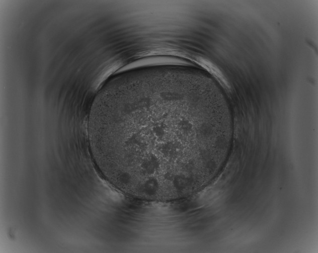 X0000093131241200709261341