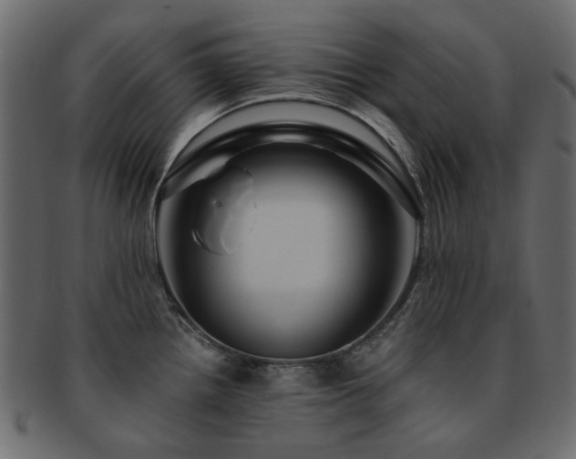 X0000093131242200709261341