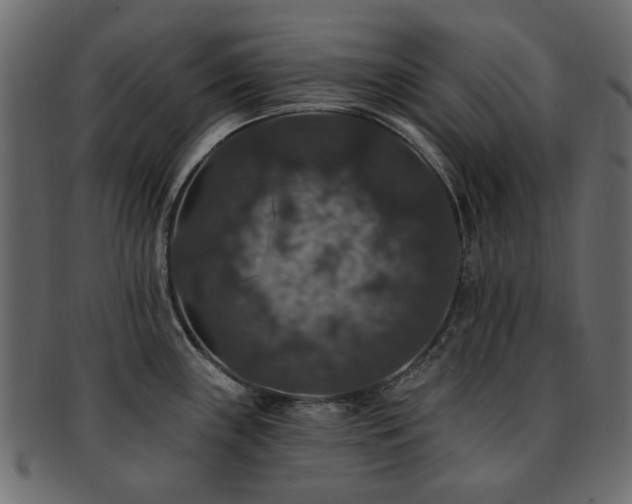 X0000093131243200709261341