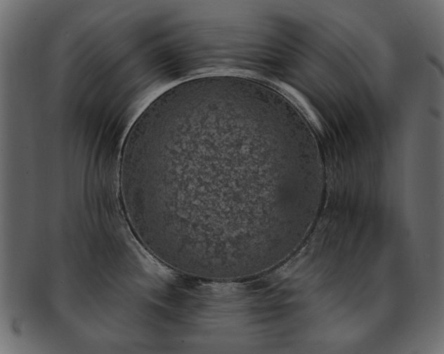 X0000093131244200709261341