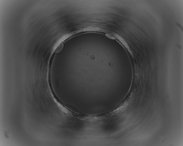 X0000093131245200709261341
