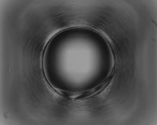 X0000093131246200709261341
