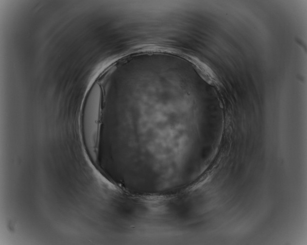X0000093131247200709261341