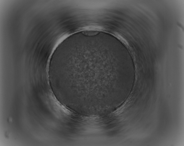 X0000093131248200709261341