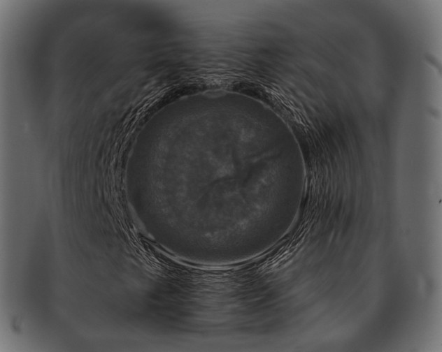 X0000093131249200709261341