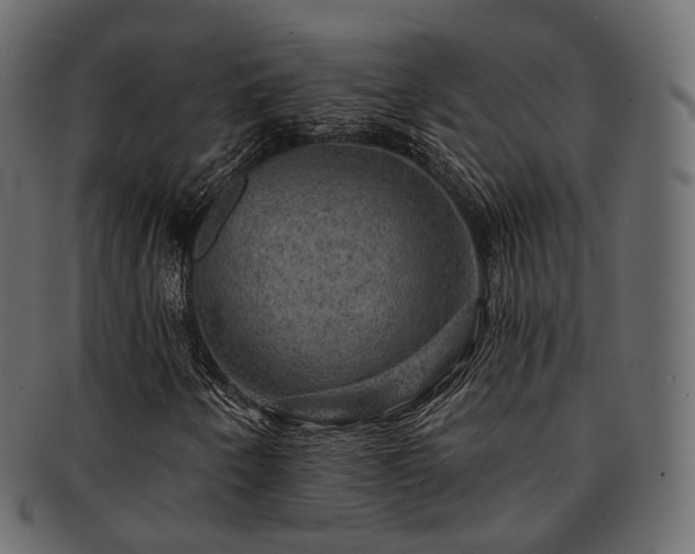 X0000093131250200709261341