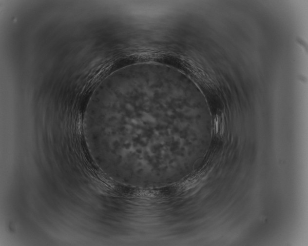 X0000093131251200709261341