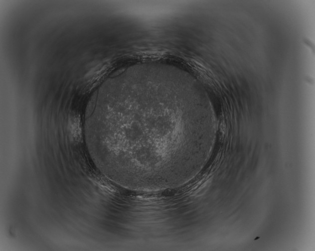 X0000093131252200709261341