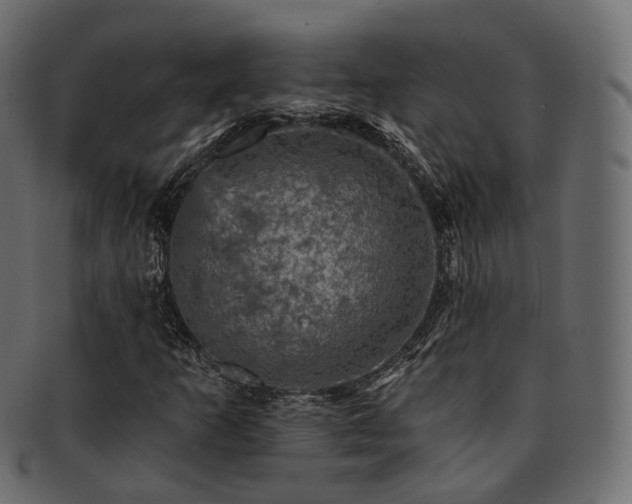 X0000093131253200709261341