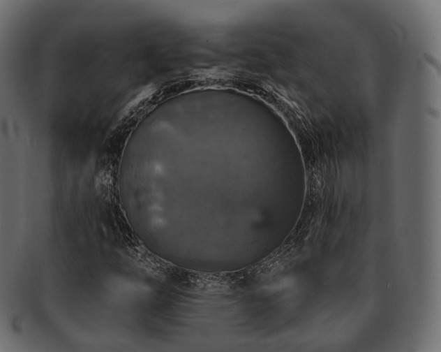 X0000093131254200709261341