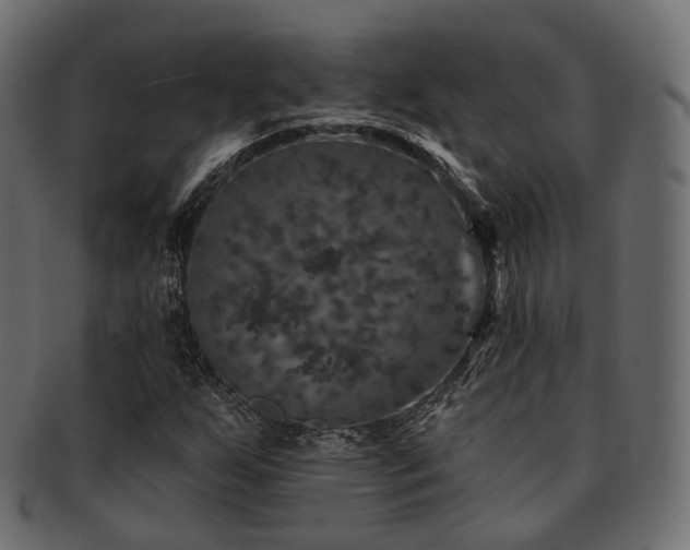 X0000093131255200709261341