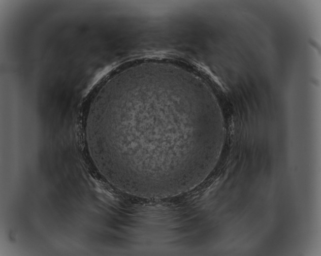 X0000093131256200709261341