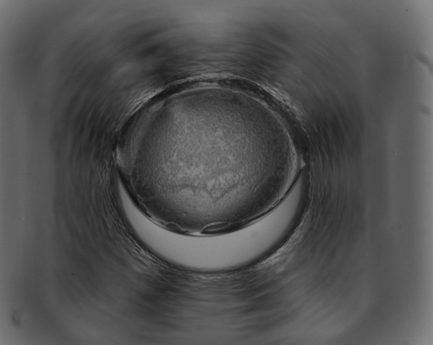 X0000093131257200709261341