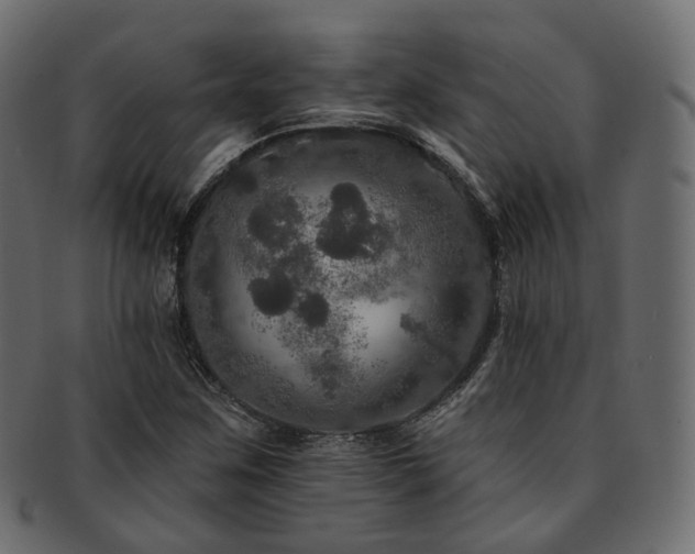 X0000093131259200709261341