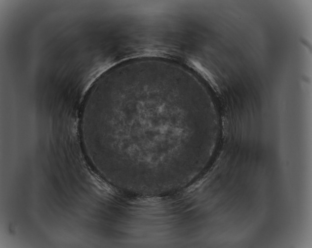 X0000093131260200709261341