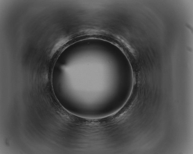 X0000093131261200709261341