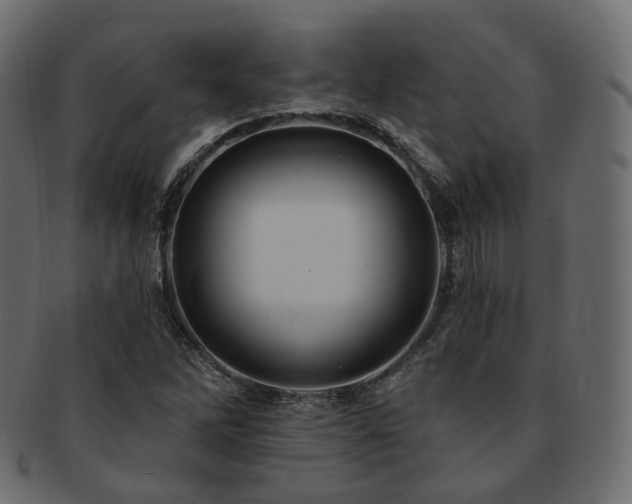 X0000093131262200709261340