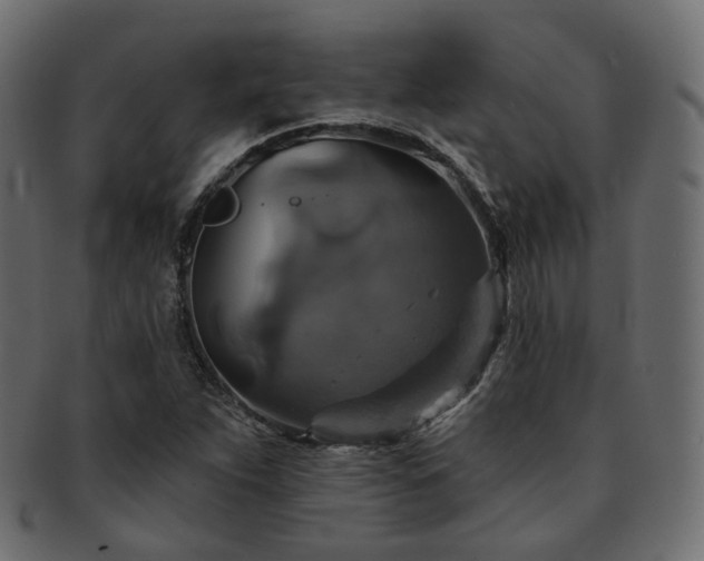 X0000093131263200709261340