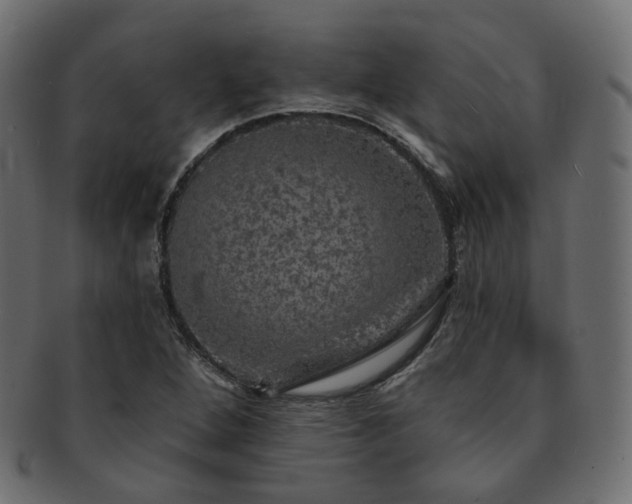 X0000093131264200709261340