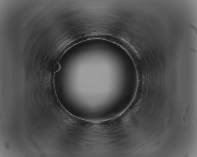 X0000093131265200709261340