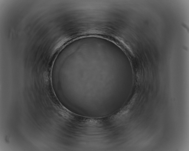 X0000093131266200709261340