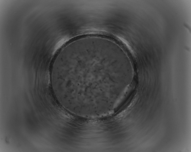 X0000093131267200709261340