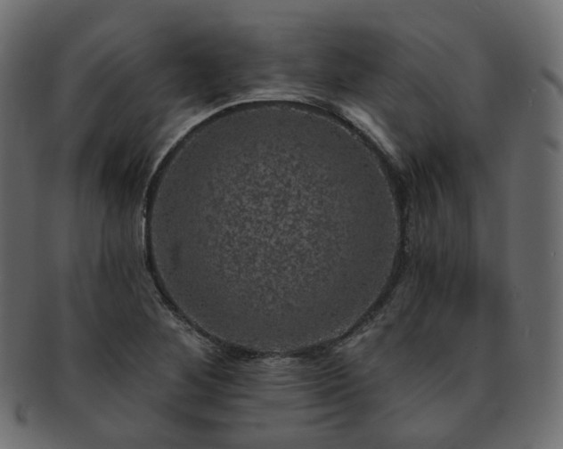 X0000093131268200709261340